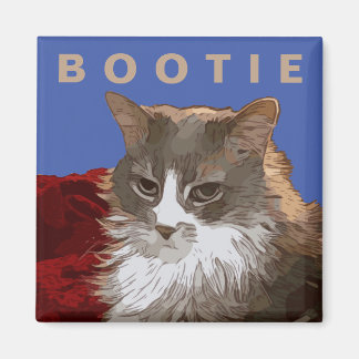 2 pulgadas cuadrado imán