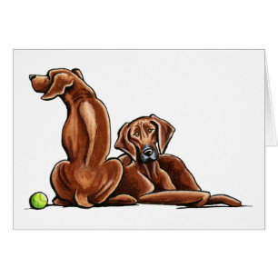 2 Ridgebacks Rhodes