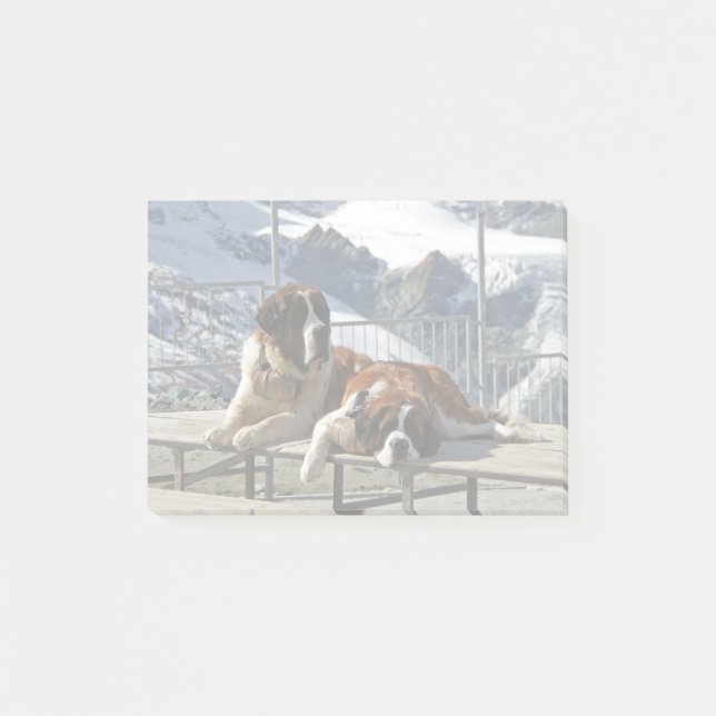 2 St-Bernard posando - Bloc de notas Post-it (Anverso)