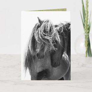 2 Tarjeta de felicitación Sable Island Stallions p