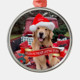 3000potente ornamento de timbre redondo 2020