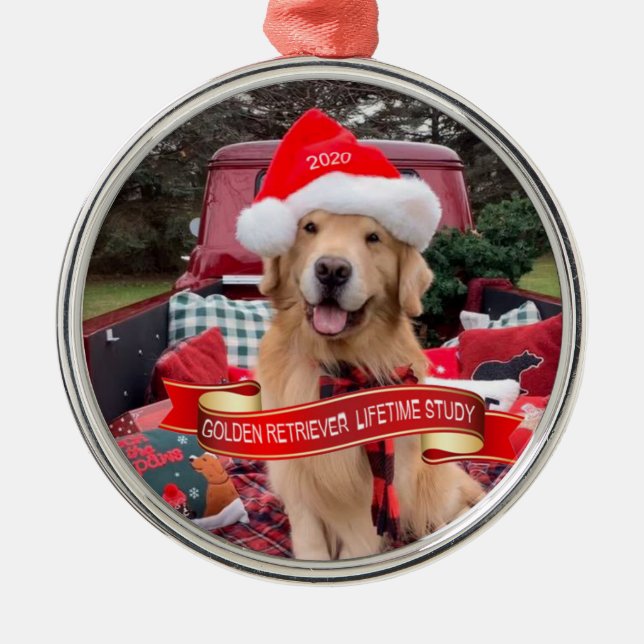 3000potente ornamento de timbre redondo 2020 (Frente)