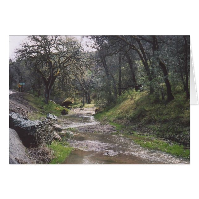 30. California Stream (Anverso (Horizontal))