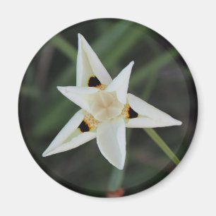 30 de abril imán de flores de jardín