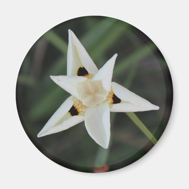 30 de abril imán de flores de jardín (Frente)