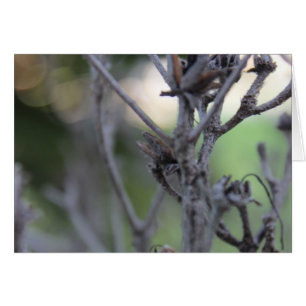 30 de abril palillos del verano