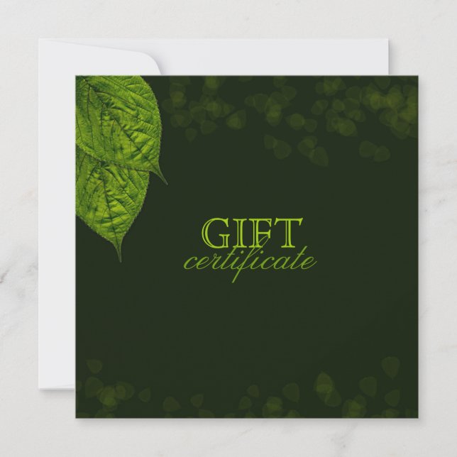 311 Certificado de regalo de hoja de sueño (Anverso)