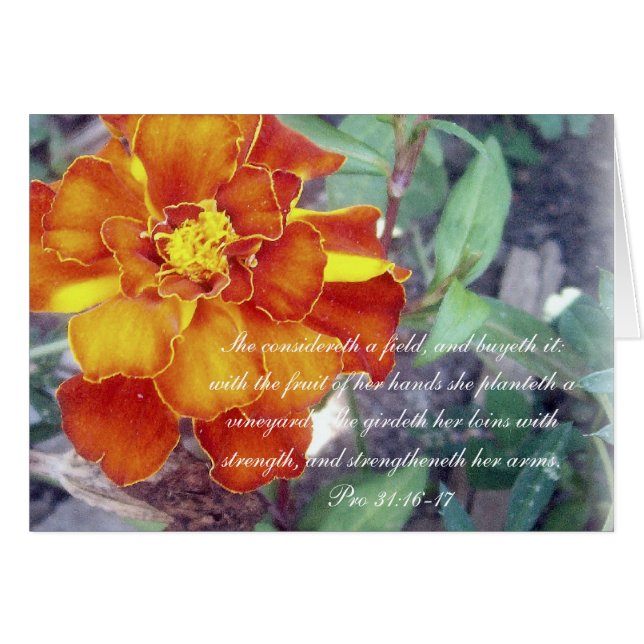 31:16 del ~ de la colección de los proverbios 31 (Anverso (Horizontal))