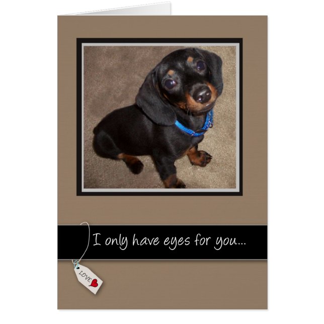 3938 Te Amas Perro (Frente)