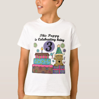 3.ª Camiseta y Regalos de Aniversario