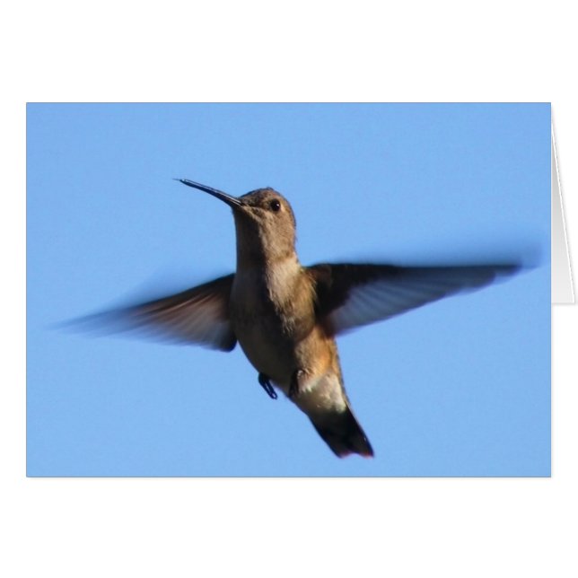 3.ᵉʳ colibrí volando en un cielo azul (Anverso (Horizontal))