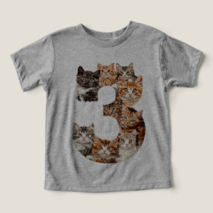 3.ᵉʳ Cumpleaños Gatitos Temáticos Niños De 3 Años