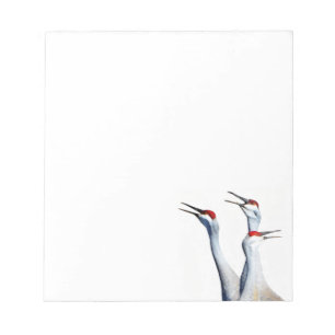 3 Bloc de notas de fotos de Sandhill Cranes
