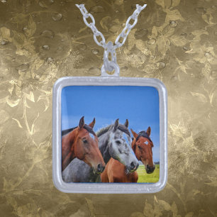 3 Cabeza de caballo Sterling Plata Collar collar