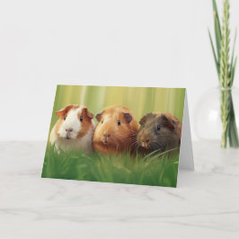 3 cerdos de Guinea en hierba