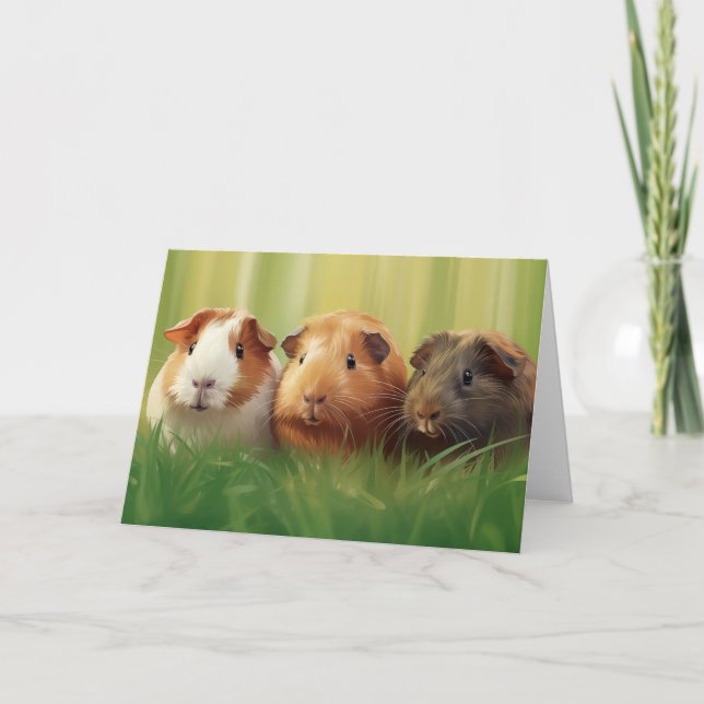 3 cerdos de Guinea en hierba (Anverso)