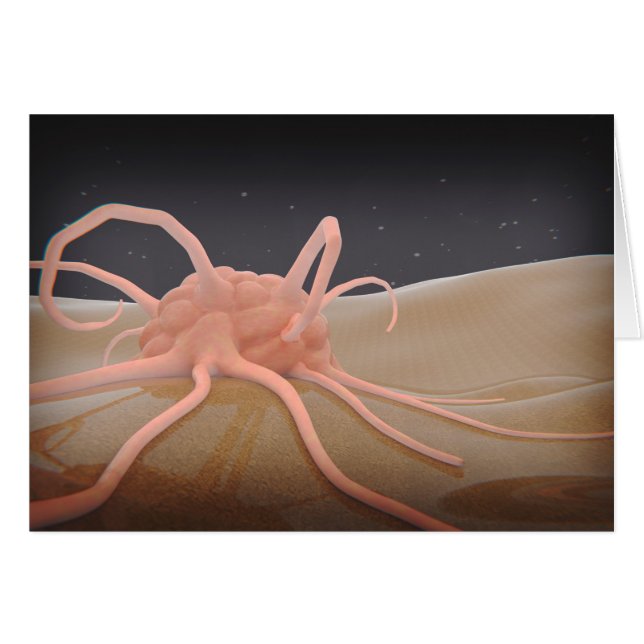 3 D Renderización De La Fhagocitosis Macrofóbica (Anverso (Horizontal))