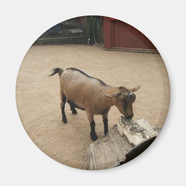 3 de abril (11) Imán (Frente)