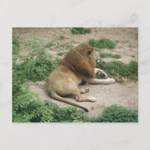 3 de abril (1) Postal