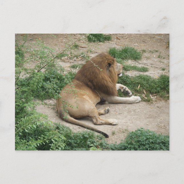 3 de abril (1) Postal (Anverso)