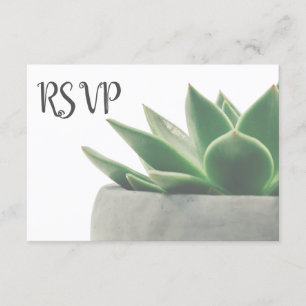 3 entrada RSVP suculento verde moderno bien