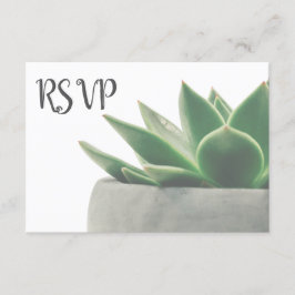 3 Entree Choice Modern Green Succulum RSVP
