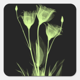 3 flores de rayos X etiqueta de vino
