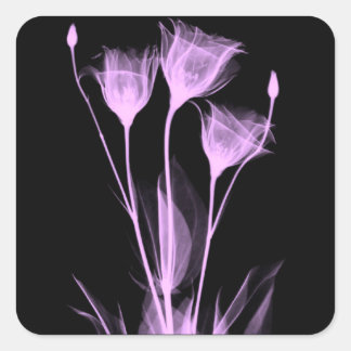 3 flores de rayos X etiqueta de vino