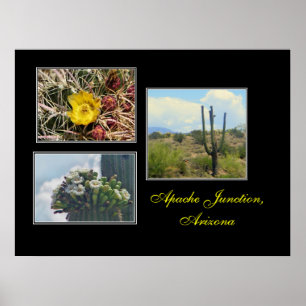 3 fotos de Apache Junction,Az impresión