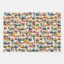 3 hojas 10 plantillas de fotos Papel de envolvimie