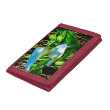 Cartera de las calas