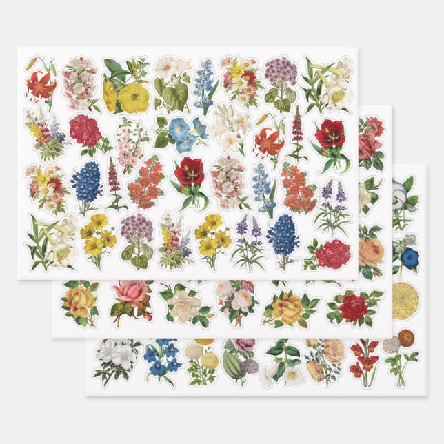 3 Hojas De Collage De Flores (Set)