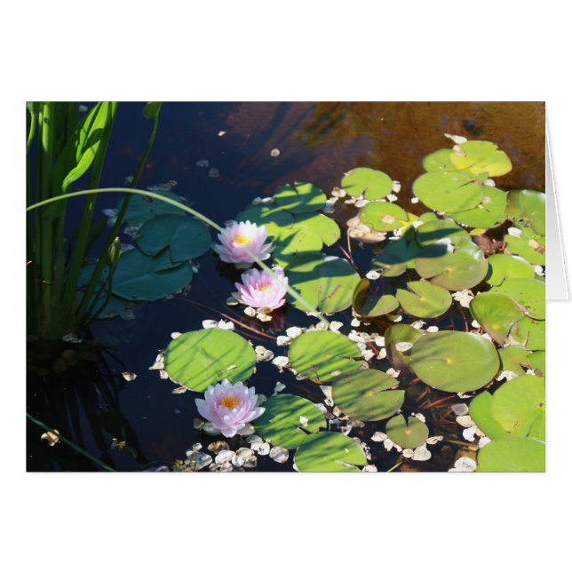 3 lirios (Anverso (Horizontal))