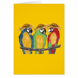 3 Loros