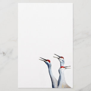 3 Papel de Stationery en grúas de arena