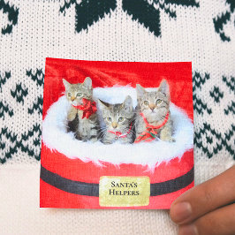 3 pequeños ayudantes de los gatitos de Santa