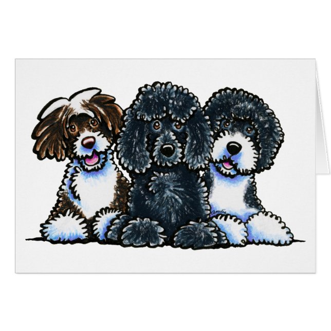 3 Perros de agua portugueses (Anverso (Horizontal))