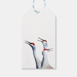 3 Sandhill Cranes Photo Gift Etiqueta