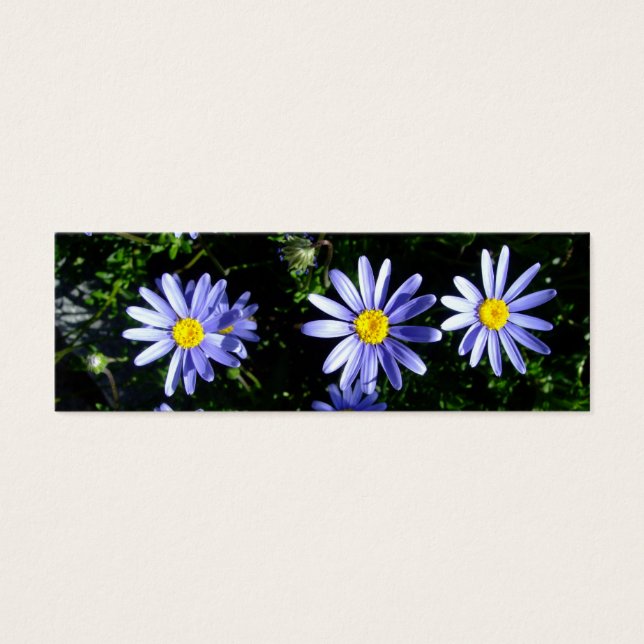 3 sol azul (Frente)