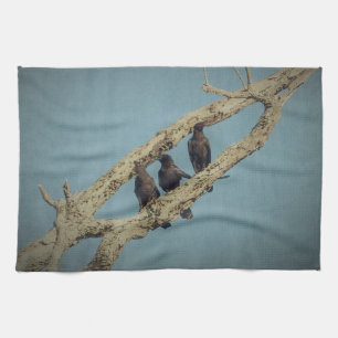 3 Toalla de cocina de Crows