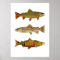 3 Trucha y arte de salmón