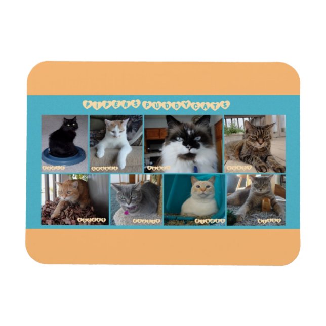 3 x 4 imán flexible (Horizontal)