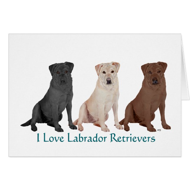 3Labs (Anverso (Horizontal))