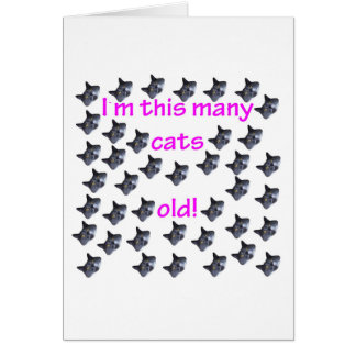 40 cabezas del gato viejas