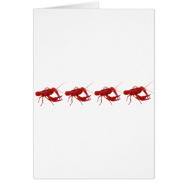 4 cangrejos cocinados (Frente)