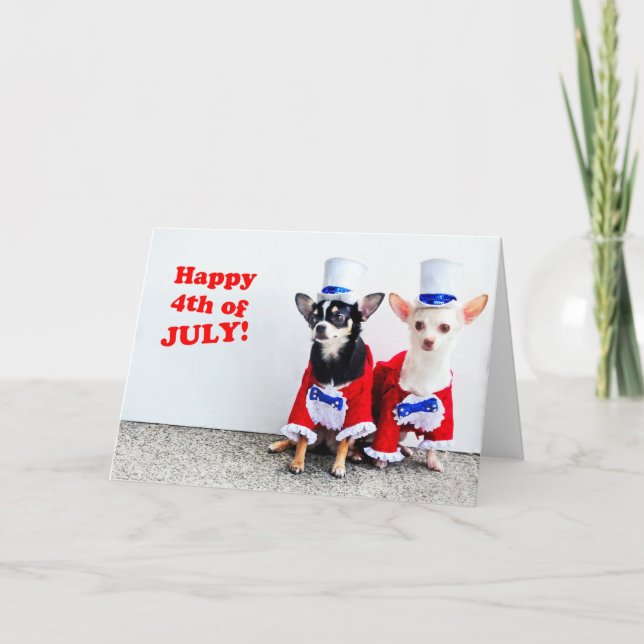 4 de julio cachorros Chihuahua doblados tarjetas d (Anverso)