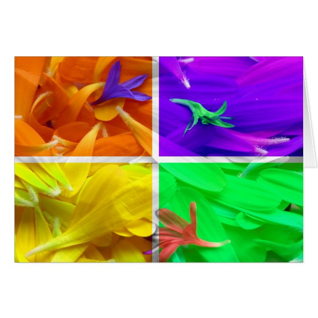 4 Florales (Anverso (Horizontal))