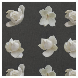 4 flores de magnolia diferentes sobre tela negra