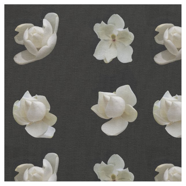 4 flores de magnolia diferentes sobre tela negra (De cerca)