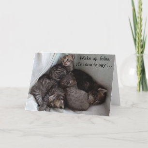 4 gatitos con una graciosa tarjeta de cumpleaños